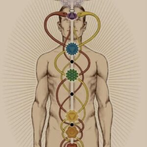 Kundalini & Soul Purpose - mini cursus