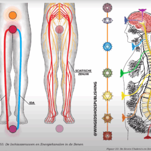 Illustratie van chakra's en energiestromen in het lichaam voor bewustwording.