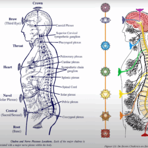 Chakra en energiepunten op het lichaam met focus op Kundalini en spirituele groei.