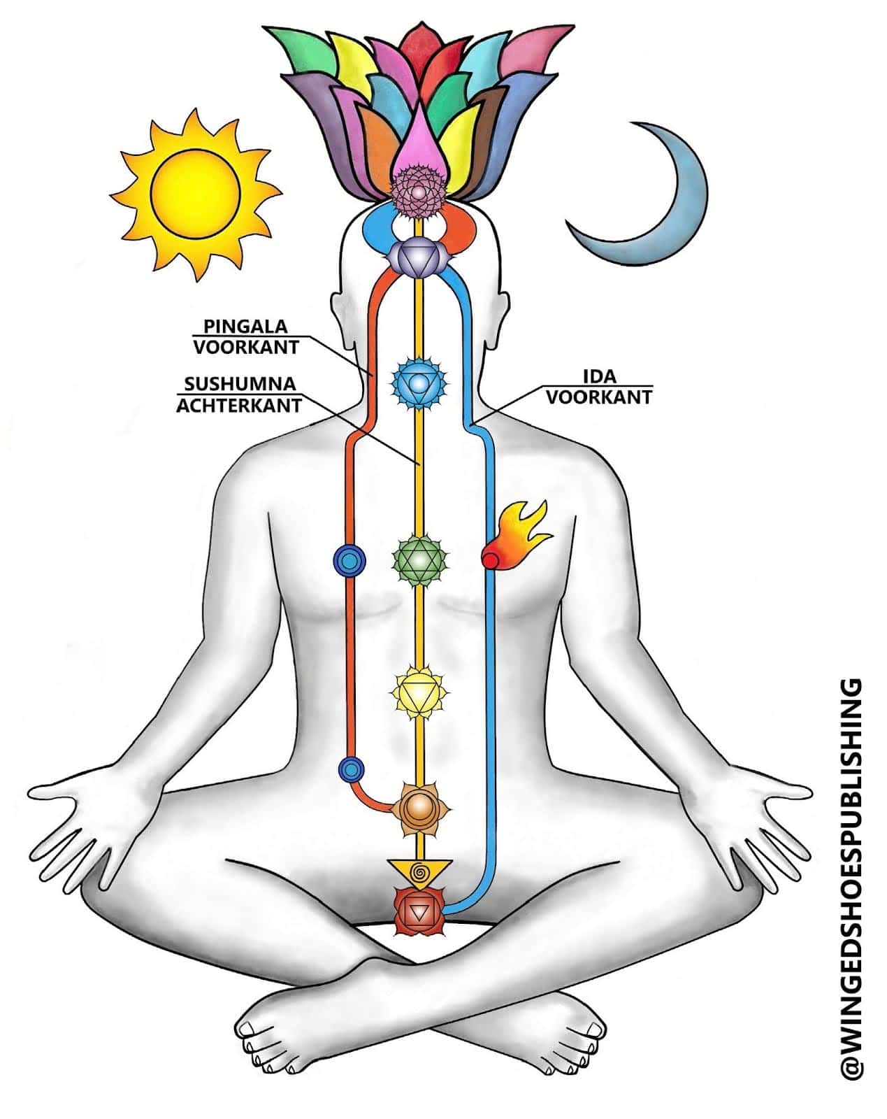 Illustratie van chakra's en energiebanen voor bewustwording.